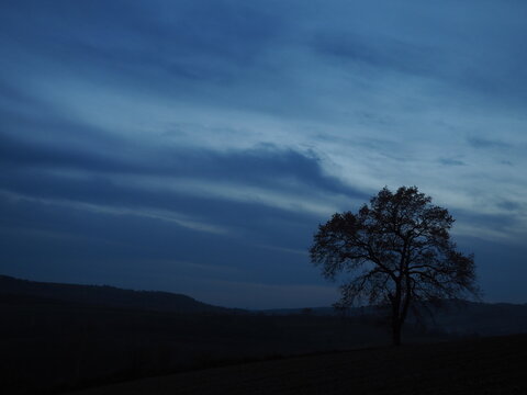 NOC WIECZ&Oacute;R W G&Oacute;RACH