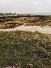 einsamer Weg durch D&uuml;nen in Skagen, D&auml;nemark, Richtung Meer
