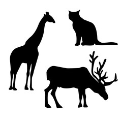 silhouettes of animals