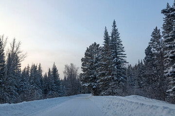 Winter landscape, road through a snowy forest. Winter travel.