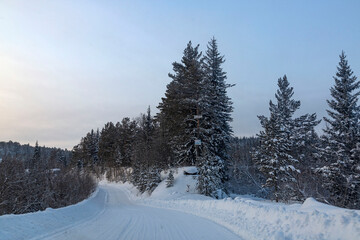 Winter landscape, road through a snowy forest. Winter travel.