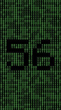 Single number 56, fifty-six, fifty-sixth on animated matrix background