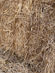 Natural hay bales texture for rustic decor and autumn themes