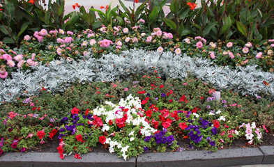 Decorative flower bed arrangement