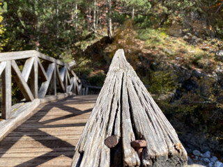 Rustic wooden bridge in tranquil forest setting