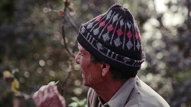 A close-up of an Indian man smoking a bidi, the traditional handmade leaf cigarette, while sitting in a village courtyard in Uttarakhand, capturing rural mood, quiet moments, and authentic daily life.