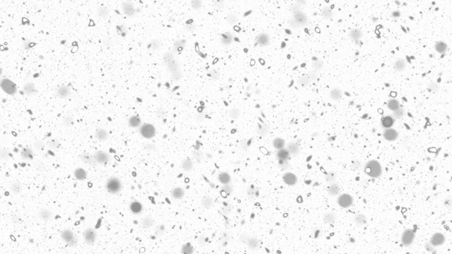 Snowfall. Winter heavy snowflakes. Overlay texture isolated  background PNG transparent
