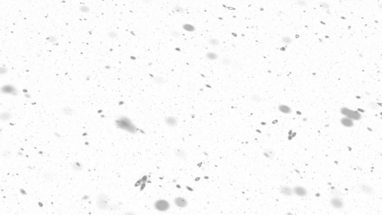 Snowfall. Winter heavy snowflakes. Overlay texture isolated  background PNG transparent