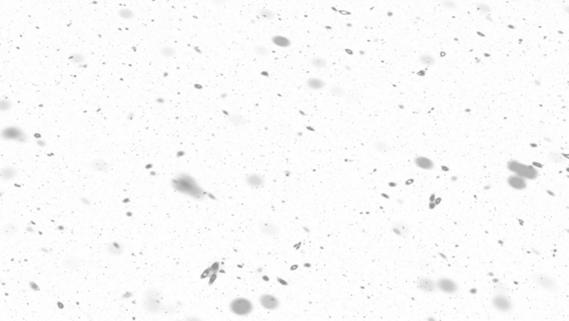 Snowfall. Winter heavy snowflakes. Overlay texture isolated  background PNG transparent