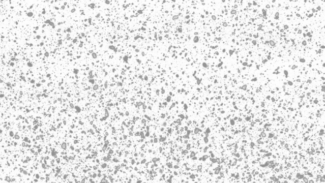 Snowfall. Winter heavy snowflakes. Overlay texture isolated  background PNG transparent