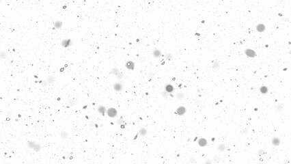 Snowfall. Winter heavy snowflakes. Overlay texture isolated  background PNG transparent