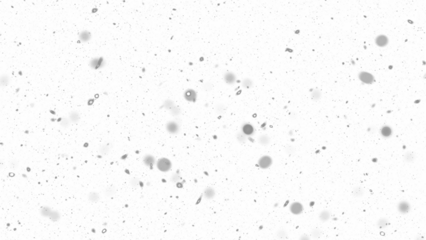 Snowfall. Winter heavy snowflakes. Overlay texture isolated  background PNG transparent