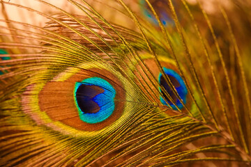 The room is full of art © Zhuzen