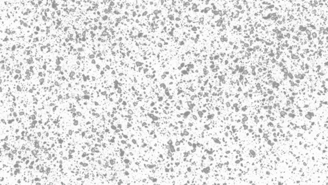 Snowfall. Winter heavy snowflakes. Overlay texture isolated  background PNG transparent