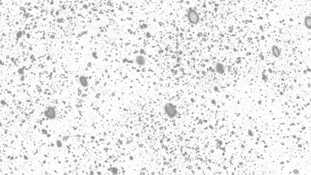 Snowfall. Winter heavy snowflakes. Overlay texture isolated  background PNG transparent