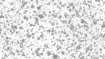 Snowfall. Winter heavy snowflakes. Overlay texture isolated  background PNG transparent