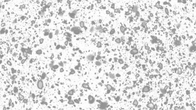 Snowfall. Winter heavy snowflakes. Overlay texture isolated  background PNG transparent