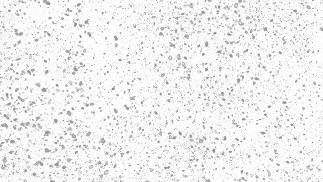 Snowfall. Winter heavy snowflakes. Overlay texture isolated  background PNG transparent