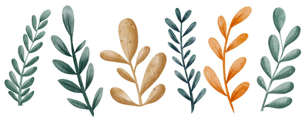 Set of watercolor illustrations of green, orange, beige plant, herb branches. Hand-drawn botanical illustrations of grass on white background. Collection of rustic-style dried leaves for design.