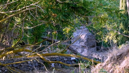 Ancient Roman ruins and a stone wall partially hidden by lush green foliage and tree branches, illustrating history, archeology, and the timeless beauty of the Italian landscape