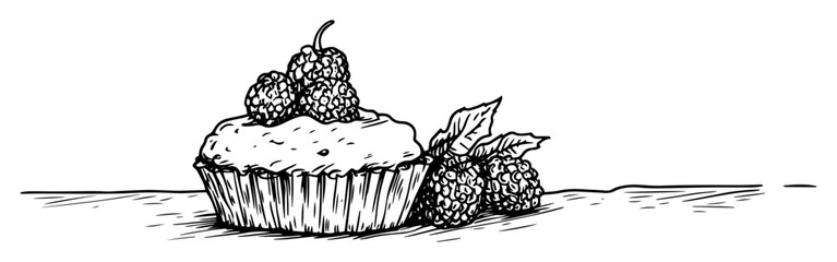 raspberry tart with mint leaf sweet dessert vector sketch © Kaz