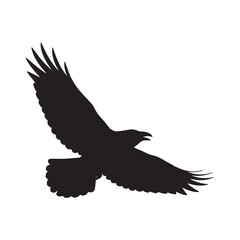 Obraz premium Raven bird silhouette