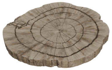 Wood Log Slice Piece of Tree Trunk with Circular Rings and Detailed Texture Cross Section Timber Cut Isolated on Transparent Background Nature Material Surface Top View