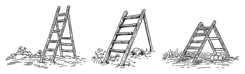 wooden stepladders set in a garden hand drawn vector sketch illustration © Kaz