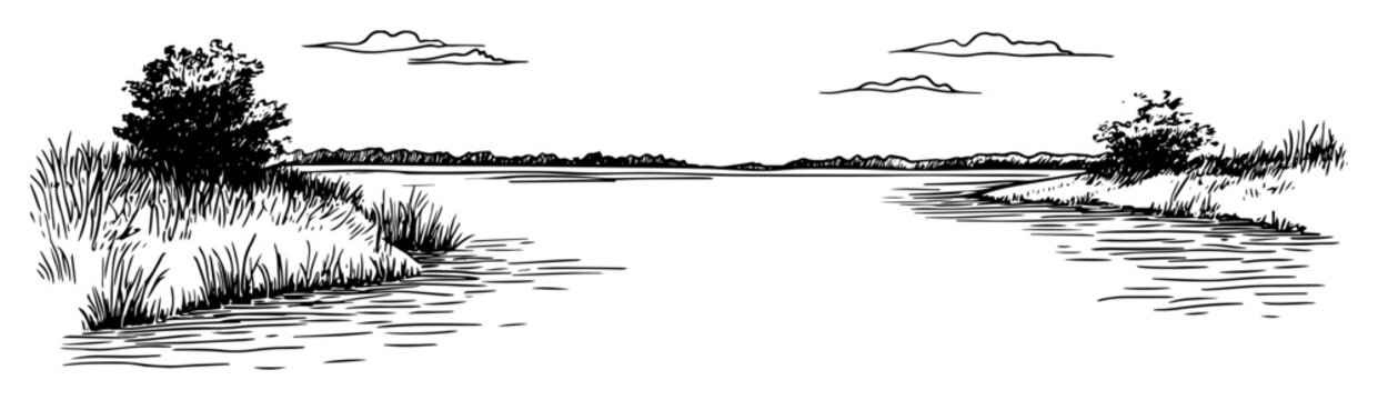 river landscape with reeds hand drawn sketch