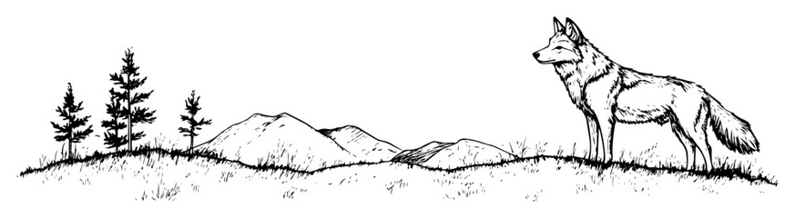 wolf howling in mountain landscape sketch