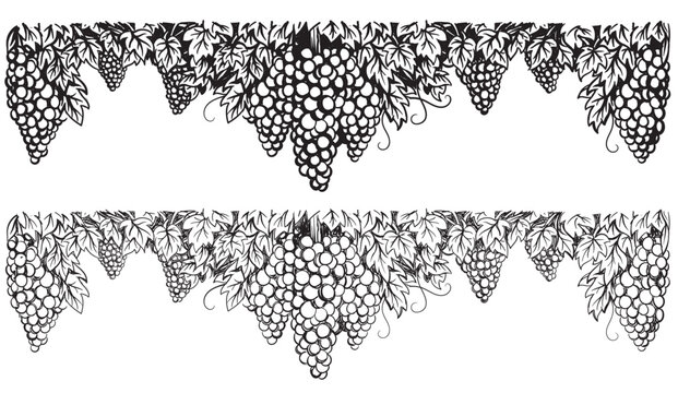Grapes vineyard, grapevine with bunches of grapes in center. Hand-drawn in ink and sketch style of vineyard grapes and leaves for wine design.Wine labels design, branding border hand drawn decorative