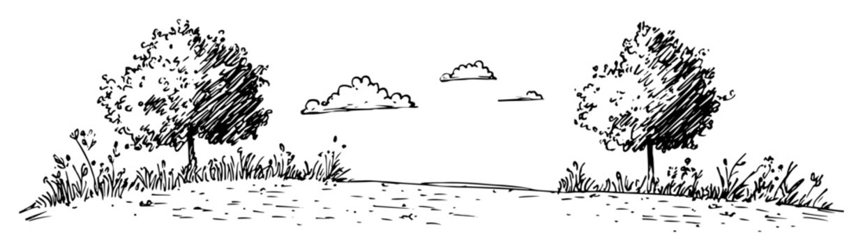 hand drawn landscape with trees and clouds
