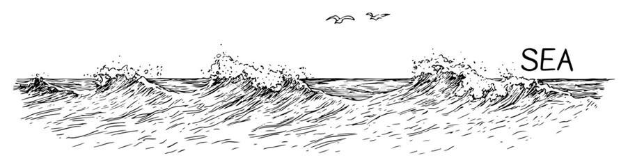 sea waves with birds hand drawn illustration