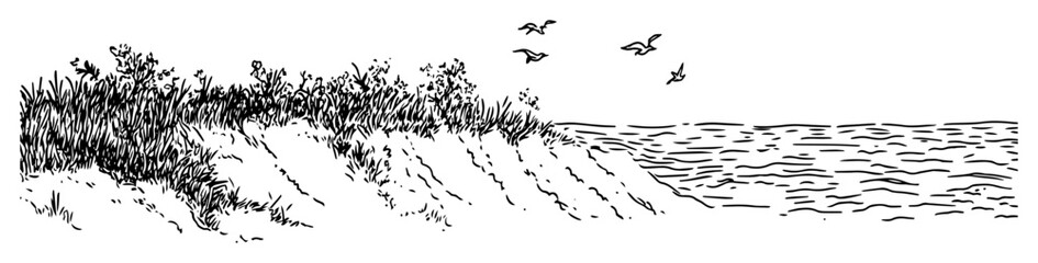 seashore with grass and flying birds sketch