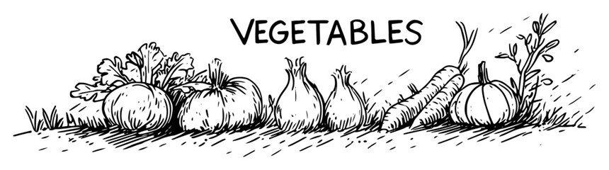 vegetable collection sketch with label