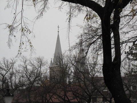 Winter view of a European church spire behind leafless trees on a cloudy day