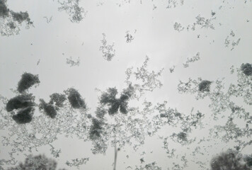 Snowflakes accumulate on a car windshield, creating a textured view against a cloudy sky. This winter scene depicts a typical chilly day, evoking feelings of coziness.