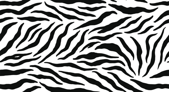 Black and white zebra stripe pattern for background or textile design