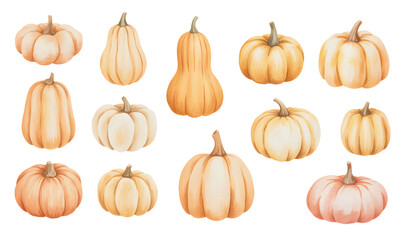 Soft pastel pumpkin watercolor bundle. Natural harvest pumpkin watercolor set.