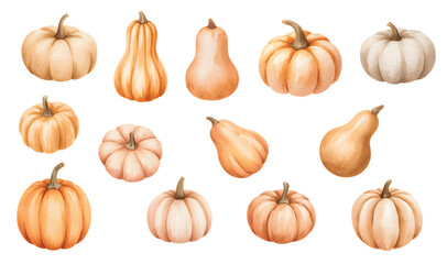 Soft pastel pumpkin watercolor bundle. Natural harvest pumpkin watercolor set.