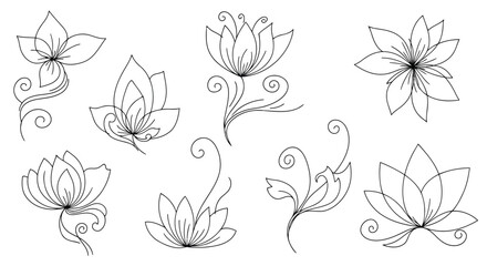 Hand drawn flower collection isolated on, featuring delicate floral elements and intricate line work