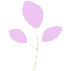 Summer flowers and brunch.