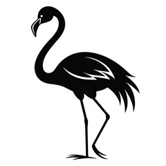 flamingo bird black and white silhouette on white background