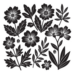 Botanical linocut illustration of flowers and leaves in black and white