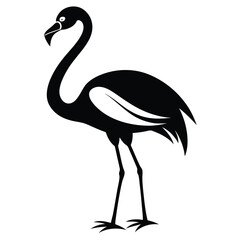Obraz premium flamingo bird black and white silhouette on white background