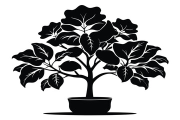 fiddle leaf fig black and white silhouette