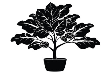fiddle leaf fig black and white silhouette