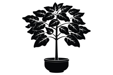 fiddle leaf fig black and white silhouette