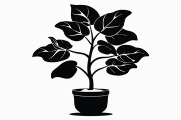 fiddle leaf fig black and white silhouette