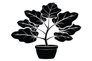 fiddle leaf fig black and white silhouette